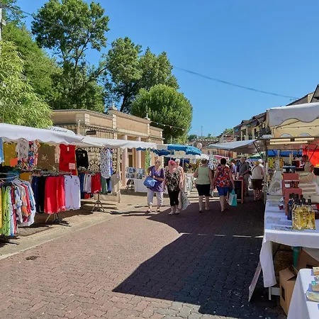 T2 Lumineux Avec Balcon, Animaux Admis, Parking, Wi-fi Inclus - Fr-1-841-47 公寓 巴布通莱班