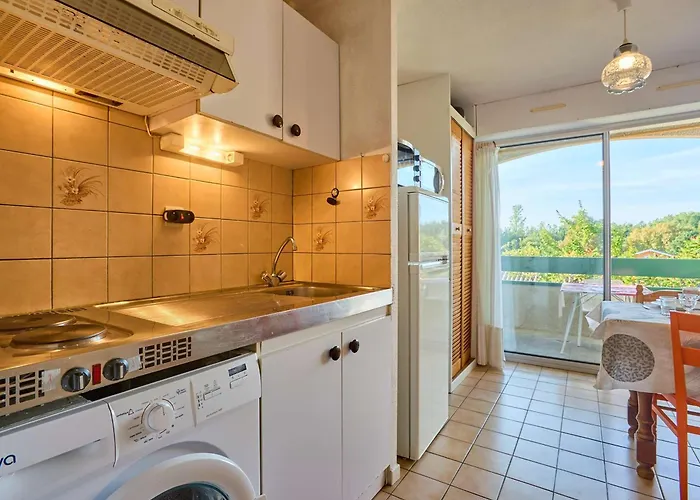 T2 Lumineux Avec Balcon, Animaux Admis, Parking, Wi-fi Inclus - Fr-1-841-47 *