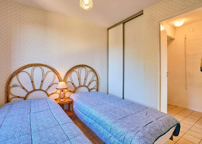 Apartment T2 Lumineux Avec Balcon, Animaux Admis, Parking, Wi-fi Inclus - Fr-1-841-47 *